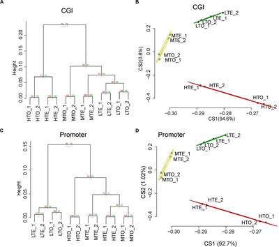 The Profiling of DNA Methylation and Its Regulation on Divergent Tenderness in Angus Beef Cattle